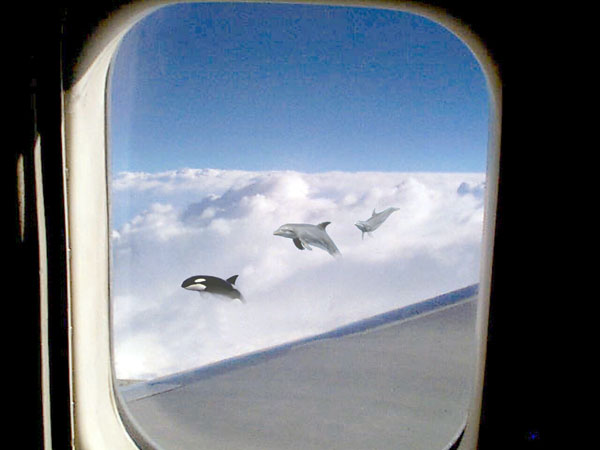 Photoshop Design by maho35 for DesignCrowd (Community Contests) | Design #9114317