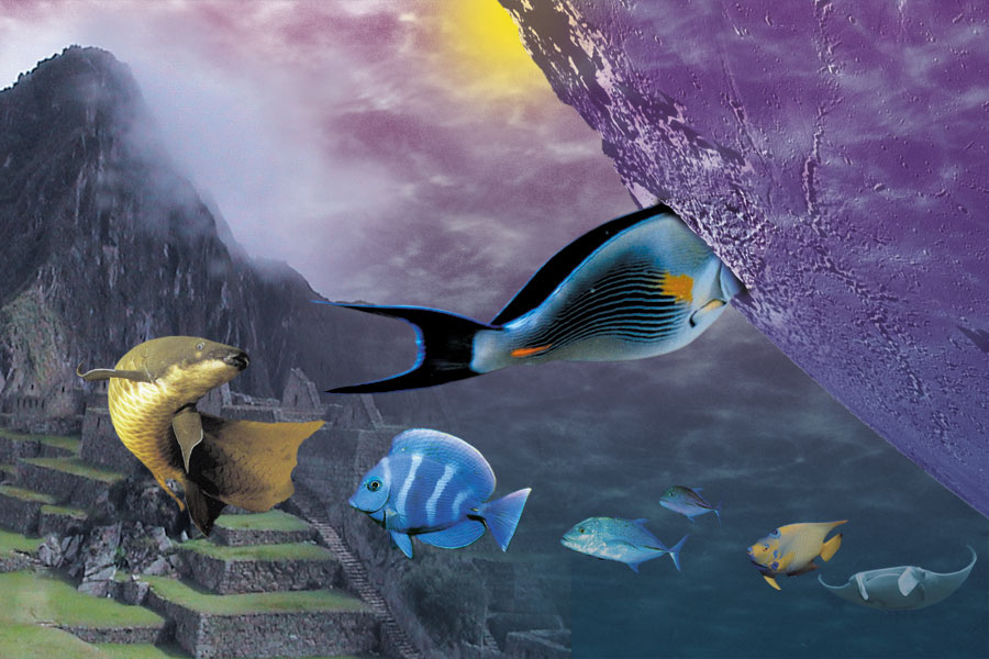 Photoshop-Design von Pelican für DesignCrowd (Community Contests) | Design #9114274