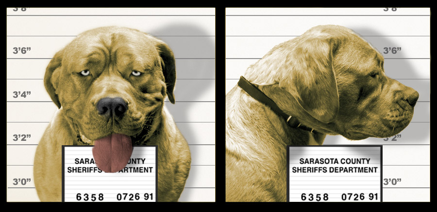 Design Photoshop par praxiz pour DesignCrowd (Community Contests) | Design #9086572