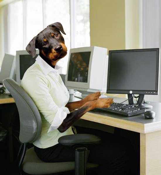 Photoshop Design by srinoo for DesignCrowd (Community Contests) | Design #9086612