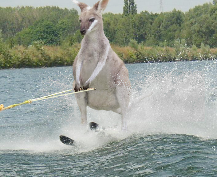 Photoshop Design by godzillatemple for DesignCrowd (Community Contests) | Design #9086609