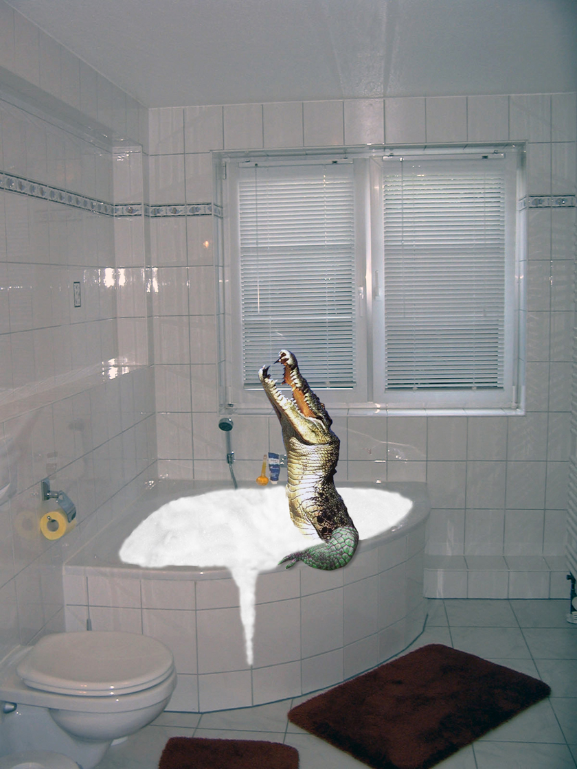 Photoshop Design by Tiiboy for DesignCrowd (Community Contests) | Design #9086662