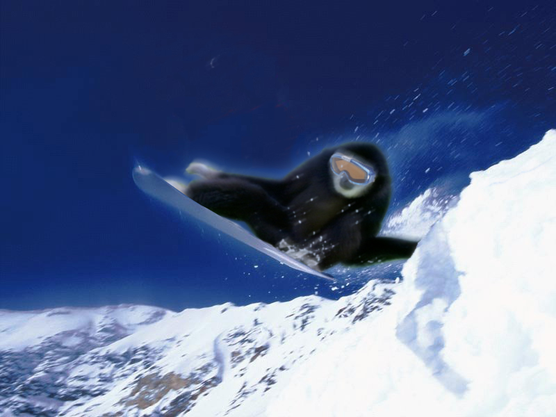 Photoshop Design by subichan for DesignCrowd (Community Contests) | Design #9086654