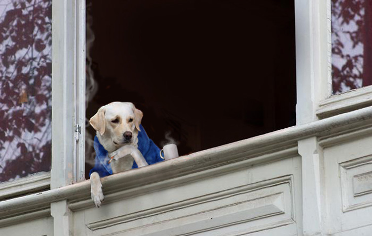 Photoshop Design by cristielayne for DesignCrowd (Community Contests) | Design #9086659