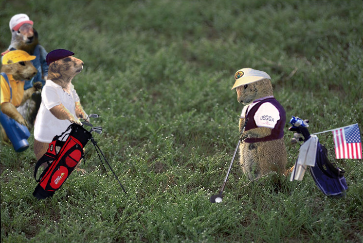 Diseño de Photoshop por RanLar para DesignCrowd (Community Contests) | Diseño #9086715