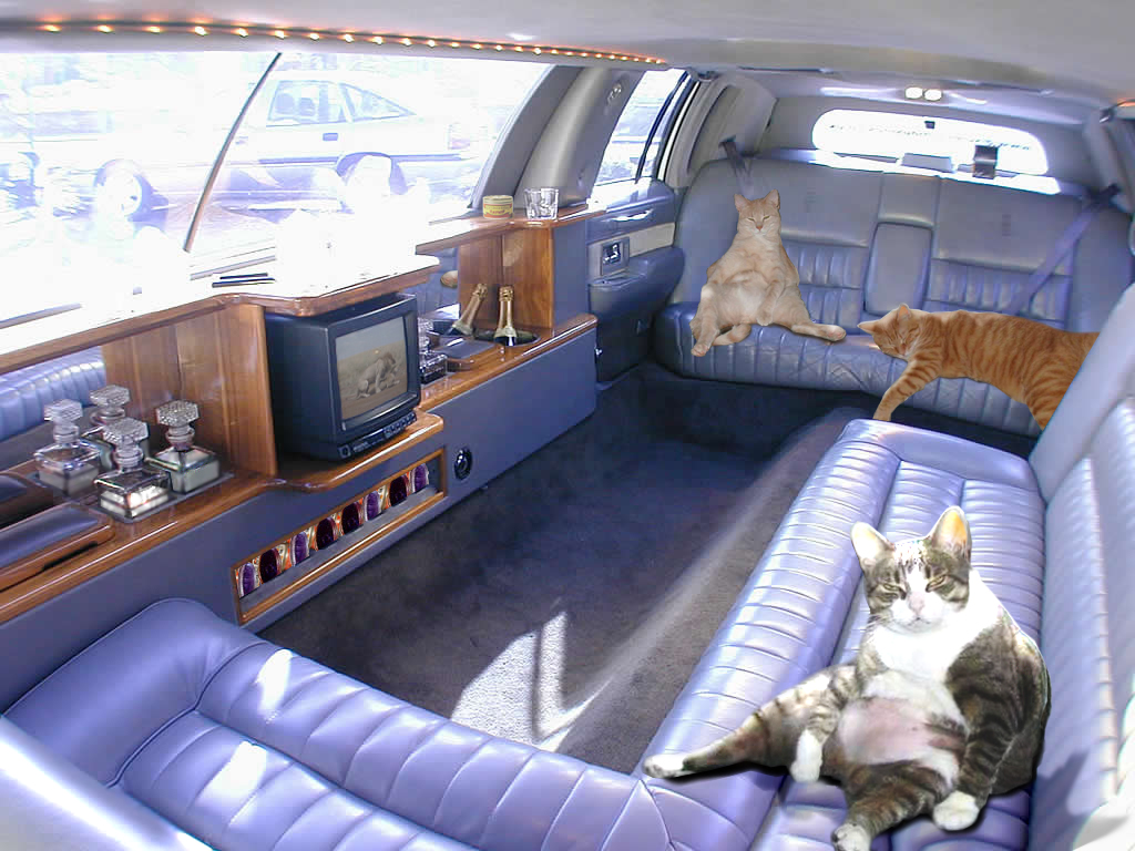 Photoshop Design by Shitrak for DesignCrowd (Community Contests) | Design #9086711