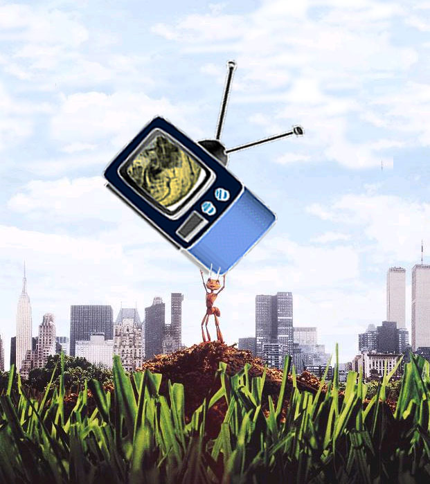 Photoshop Design by anshulr for DesignCrowd (Community Contests) | Design #9113924