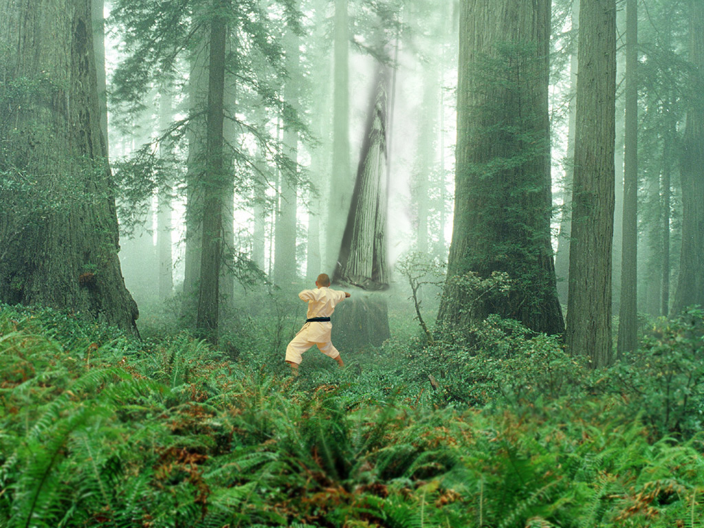 Photoshop Design by uselessness for DesignCrowd (Community Contests) | Design #9113939