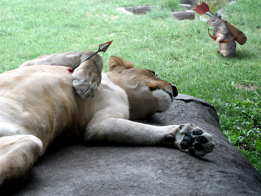 Design Photoshop par DestinationCreation pour DesignCrowd (Community Contests) | Design #9114062