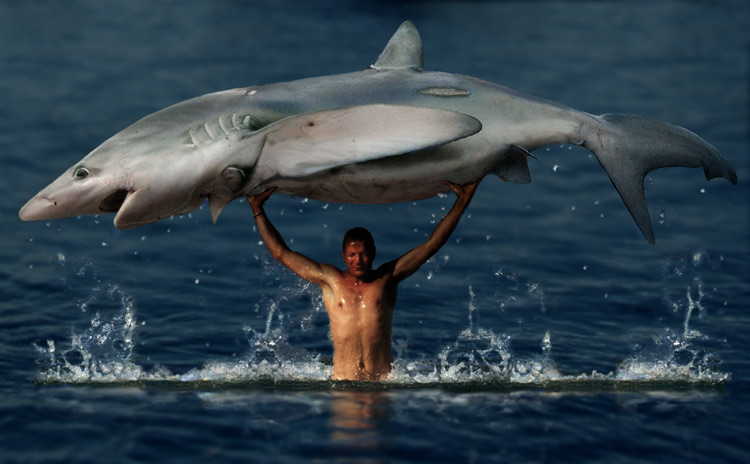 Photoshop Design by cl0ckw0rk for DesignCrowd (Community Contests) | Design #9114073