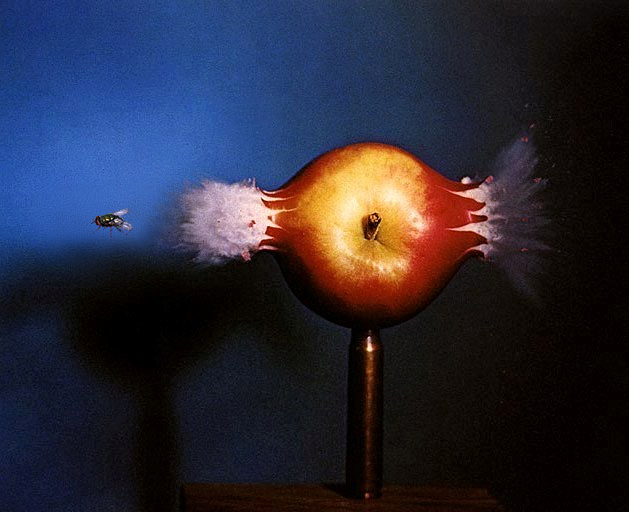 Photoshop Design by mcdj18 for DesignCrowd (Community Contests) | Design #9114054