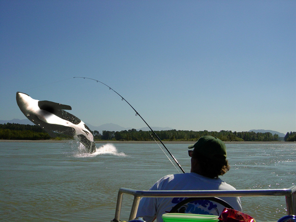 Diseño de Photoshop por RanLar para DesignCrowd (Community Contests) | Diseño #9114084