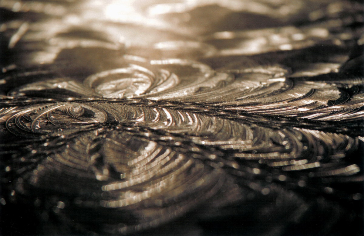 Photography by virtualstrauss for DesignCrowd (Community Contests) | Design #9086202