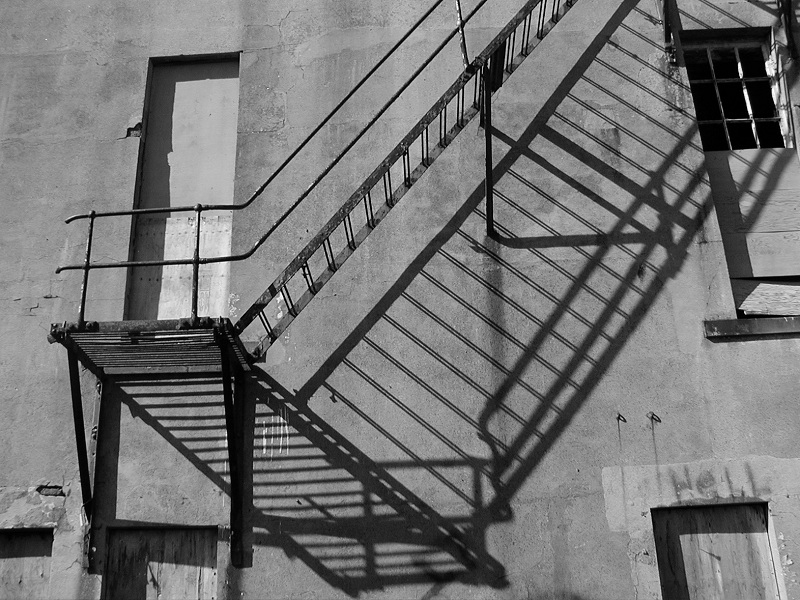 Photographie par KarenC pour DesignCrowd (Community Contests) | Design #9086185