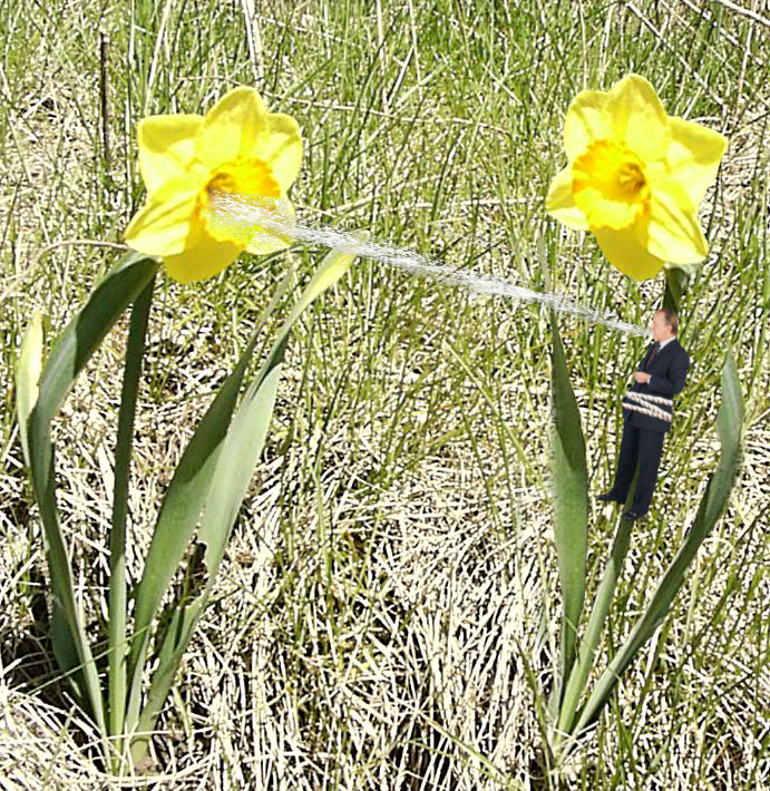 Photoshop Design by godzillatemple for DesignCrowd (Community Contests) | Design #9095323