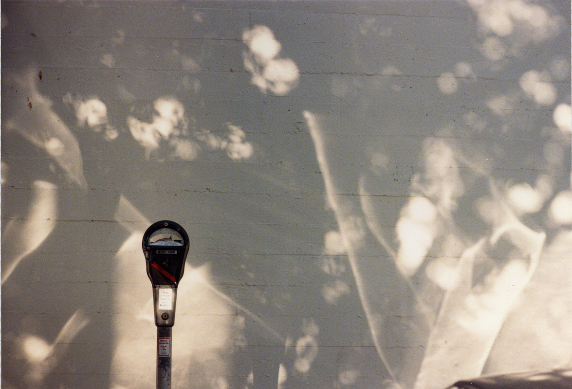 Photographie par Ivor121 pour DesignCrowd (Community Contests) | Design #9086199