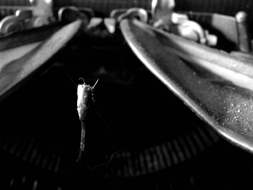 Fotografie von RickF413 für DesignCrowd (Community Contests) | Design #9109383