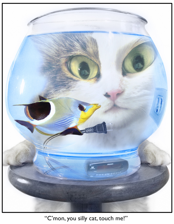 Photoshop-Design von catnip für DesignCrowd (Community Contests) | Design #9095533