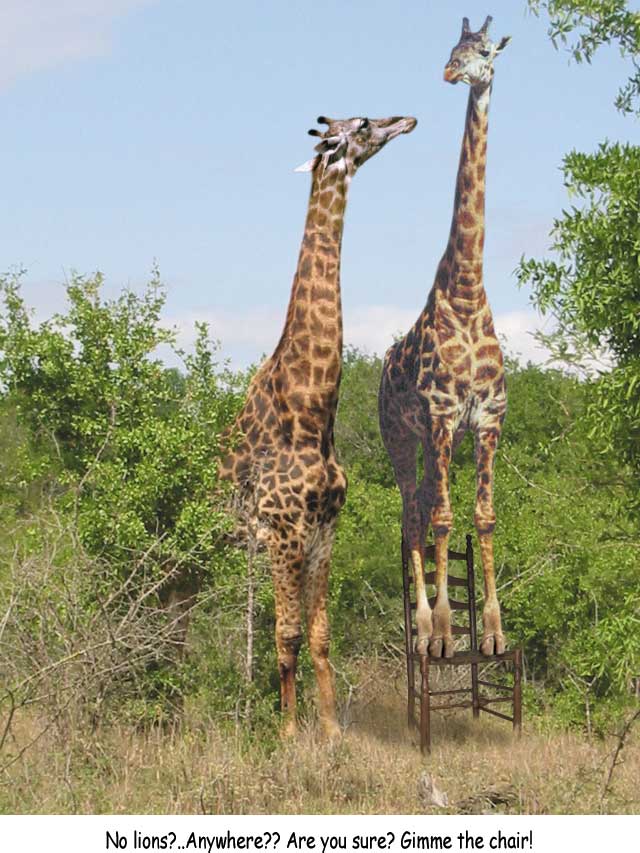 Design Photoshop par Pelican pour DesignCrowd (Community Contests) | Design #9095444