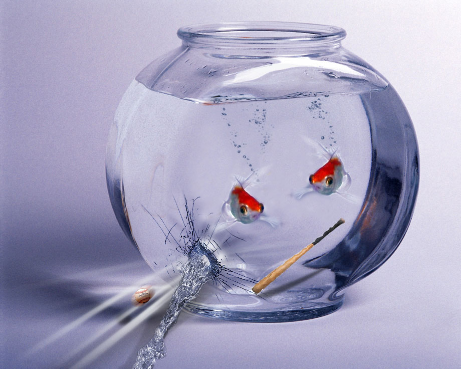 Design Photoshop par diechelle pour DesignCrowd (Community Contests) | Design #9095474