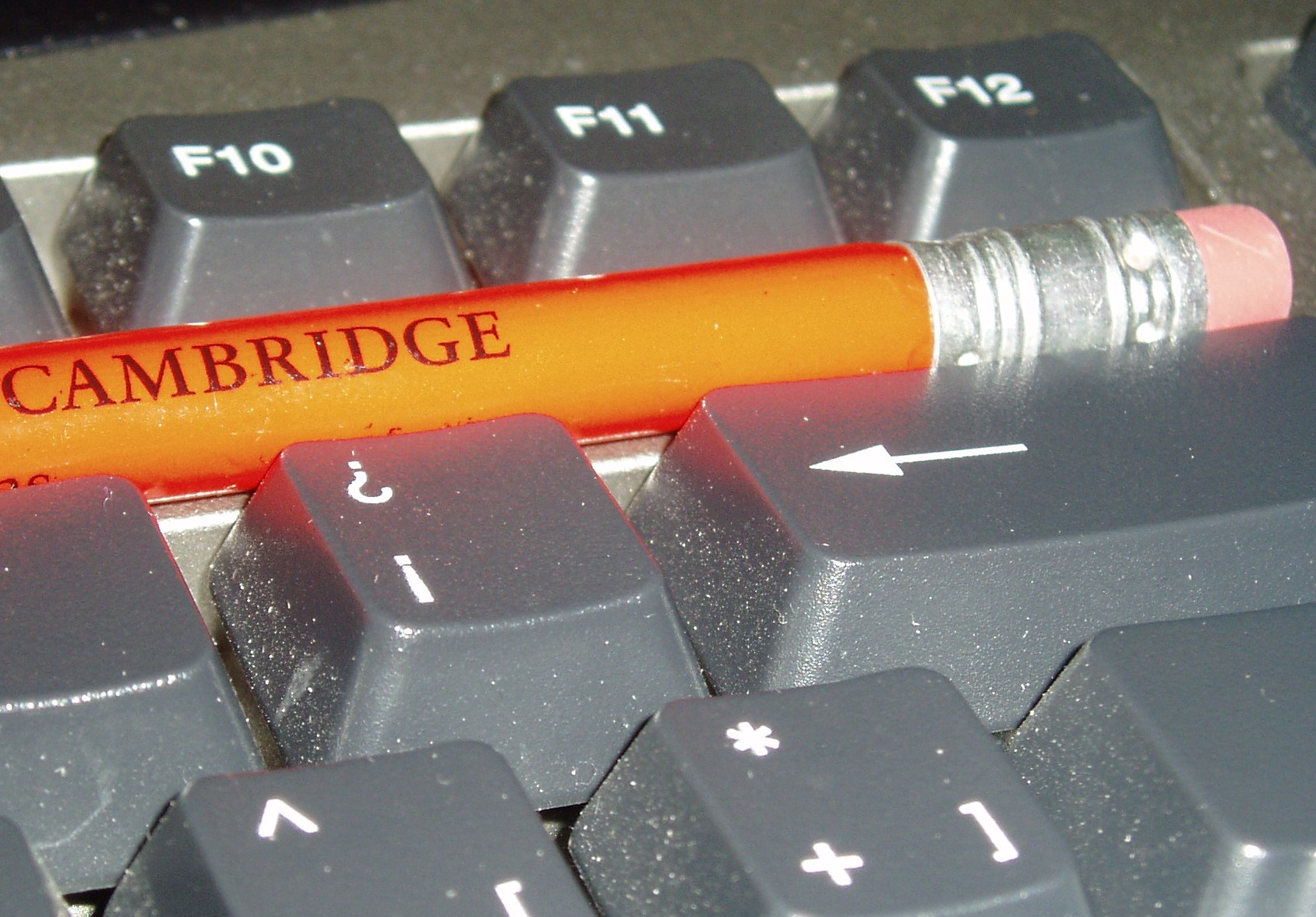 Photography by diegogualda for DesignCrowd (Community Contests) | Design #9109459