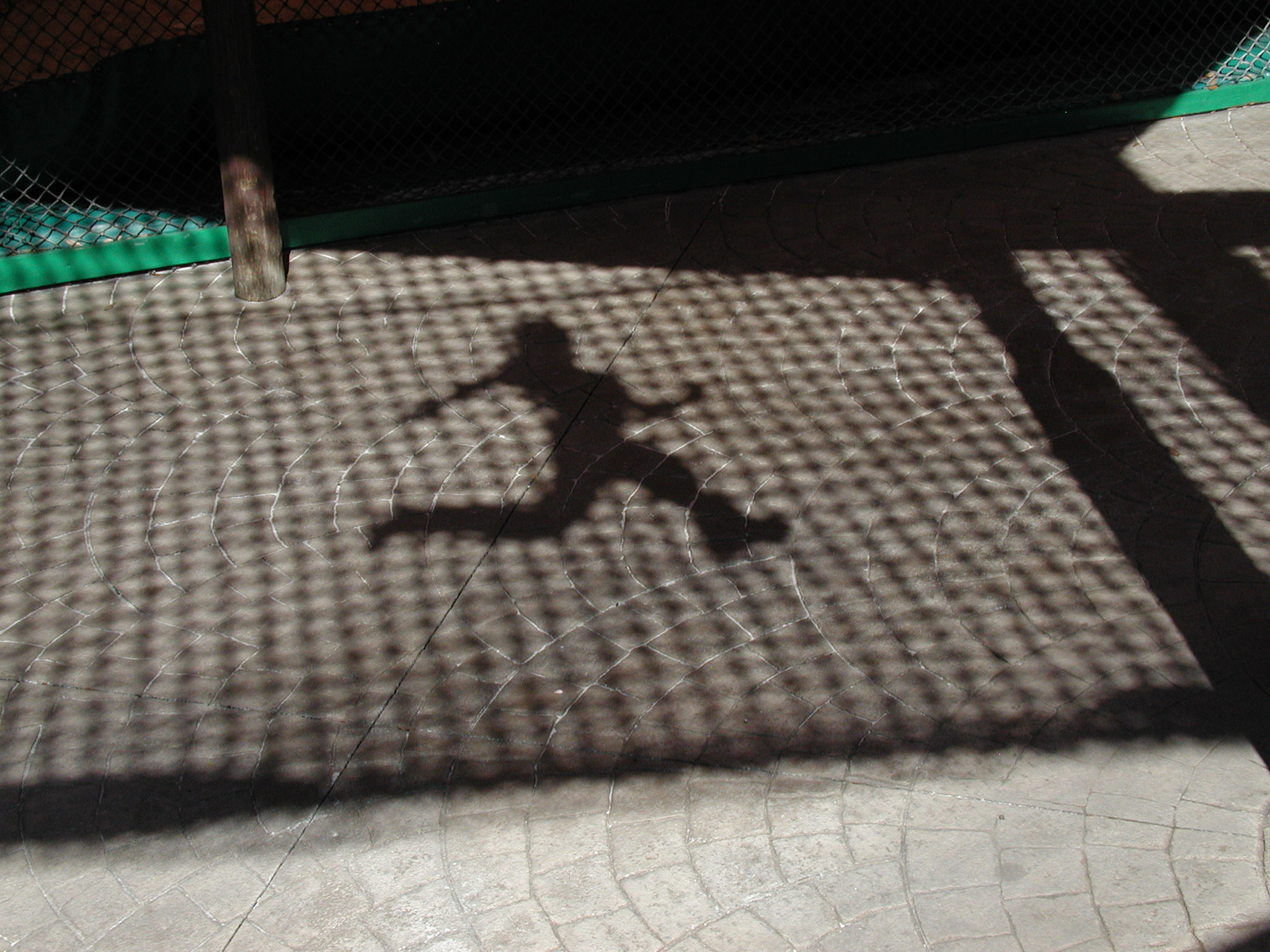 Photography by neoplasticsniper for DesignCrowd (Community Contests) | Design #9086227