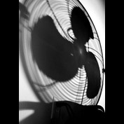 Photography by SQLVoodoo