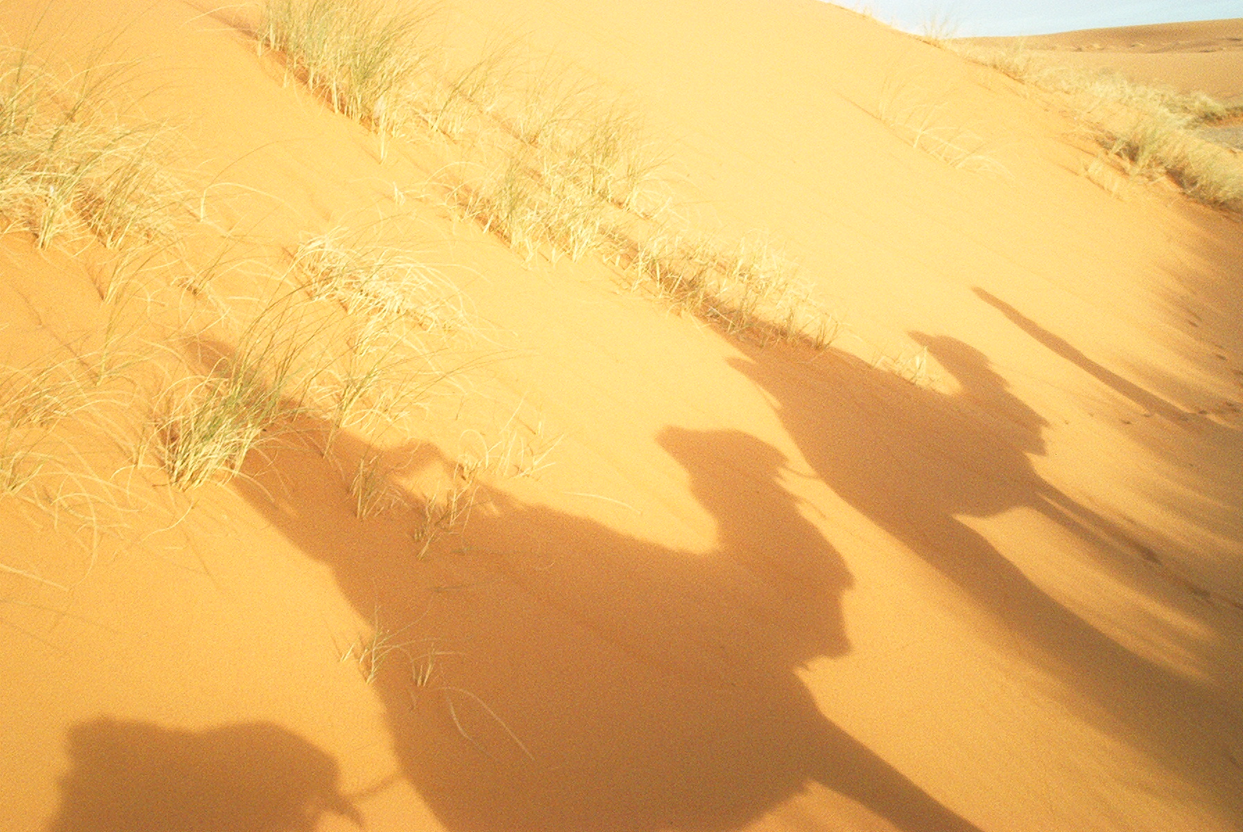 Photography by Juntis for DesignCrowd (Community Contests) | Design #9086397