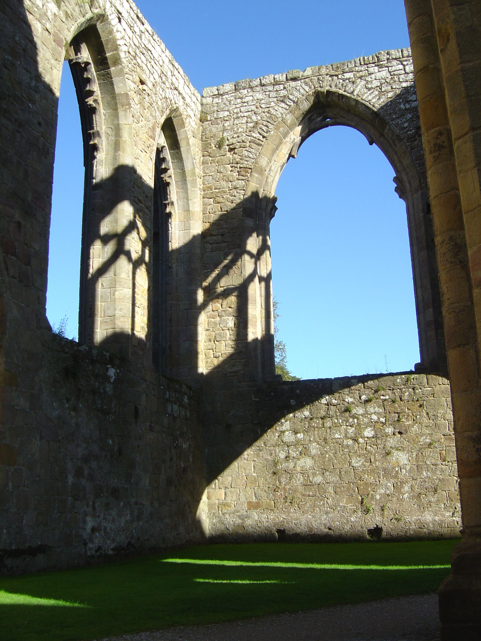 Fotografie von treebloke für DesignCrowd (Community Contests) | Design #9086402