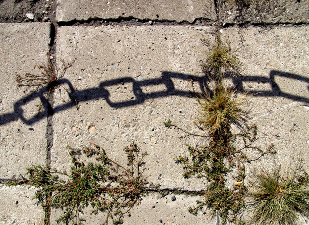 Photographie par Dziedzic pour DesignCrowd (Community Contests) | Design #9086426