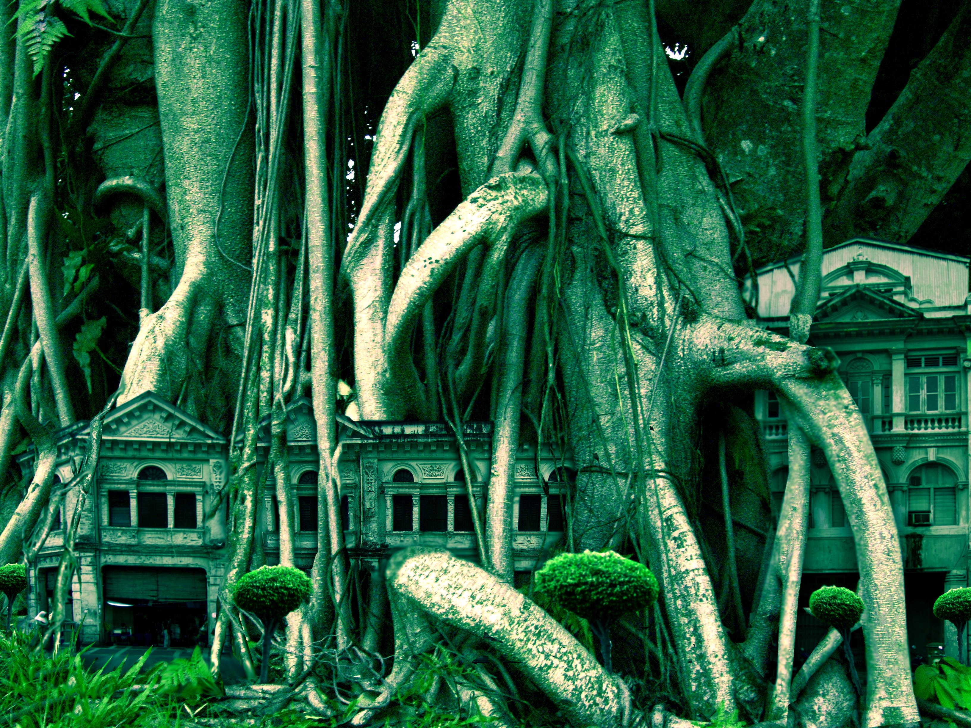 Photoshop-Design von zulittle für DesignCrowd (Community Contests) | Design #9111239