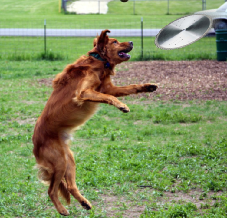 Photoshop-Design von dellville für DesignCrowd (Community Contests) | Design #9094397