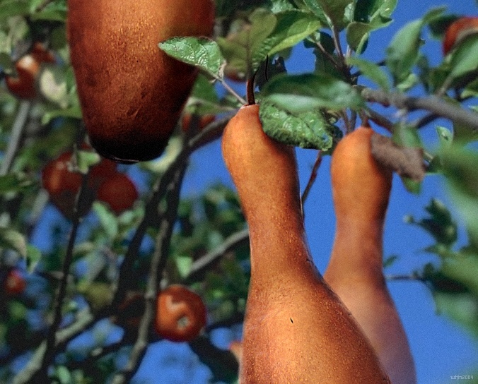 Diseño de Photoshop por udjinudjin para DesignCrowd (Community Contests) | Diseño #9108725