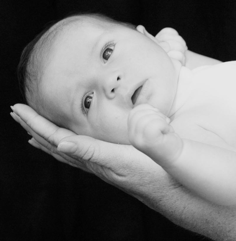 Photographie par squeakers pour DesignCrowd (Community Contests) | Design #9110532