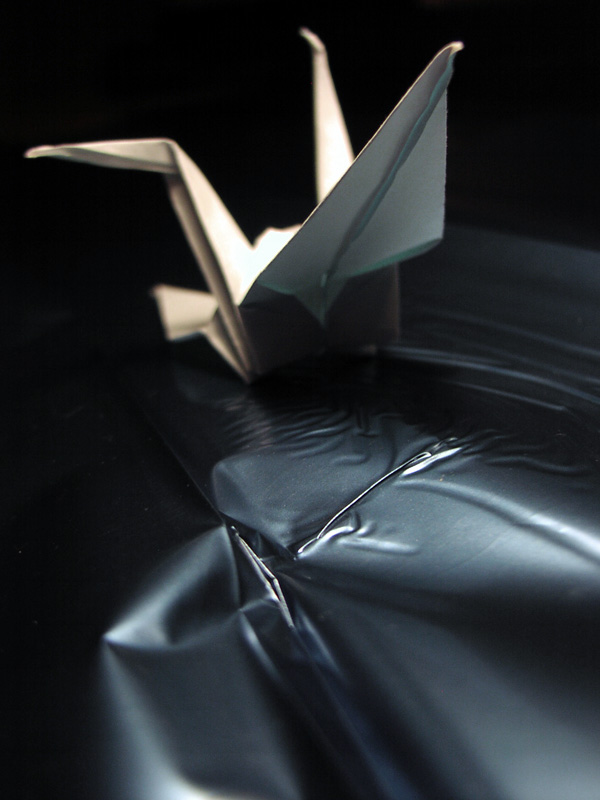 Fotografía por orrielflies para DesignCrowd (Community Contests) | Diseño #9113592