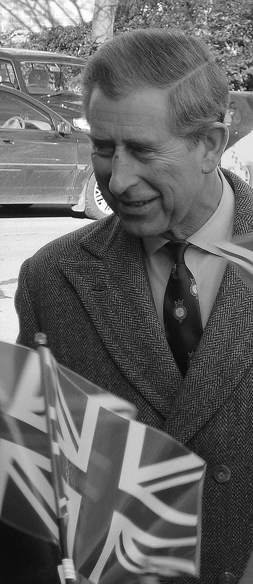 Fotografie von treebloke für DesignCrowd (Community Contests) | Design #9110602