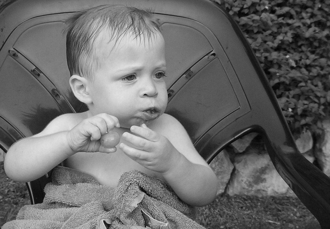 Photography by susv for DesignCrowd (Community Contests) | Design #9110623