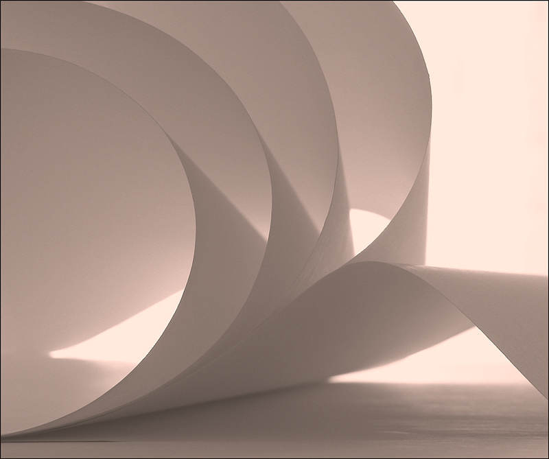 Fotografie von lilmart für DesignCrowd (Community Contests) | Design #9113605