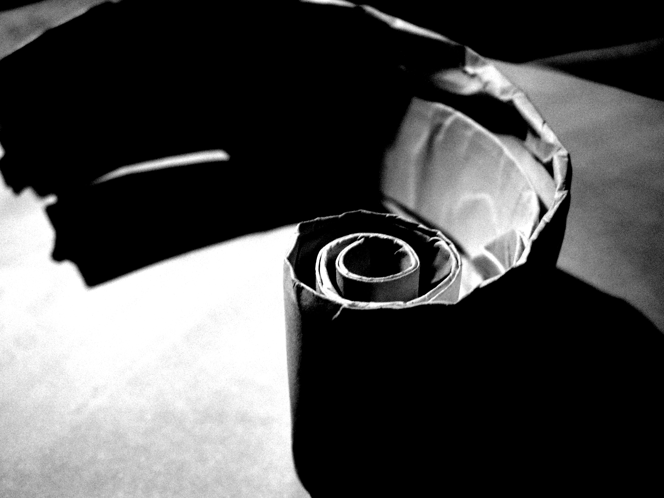 Fotografía por greenmachine para DesignCrowd (Community Contests) | Diseño #9113653