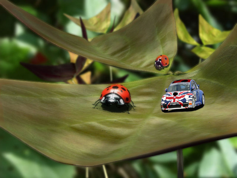 Diseño de Photoshop por altarazul para DesignCrowd (Community Contests) | Diseño #9108770