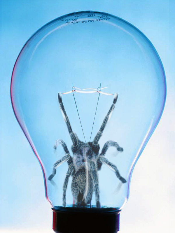 Design Photoshop par chris_ pour DesignCrowd (Community Contests) | Design #9108772