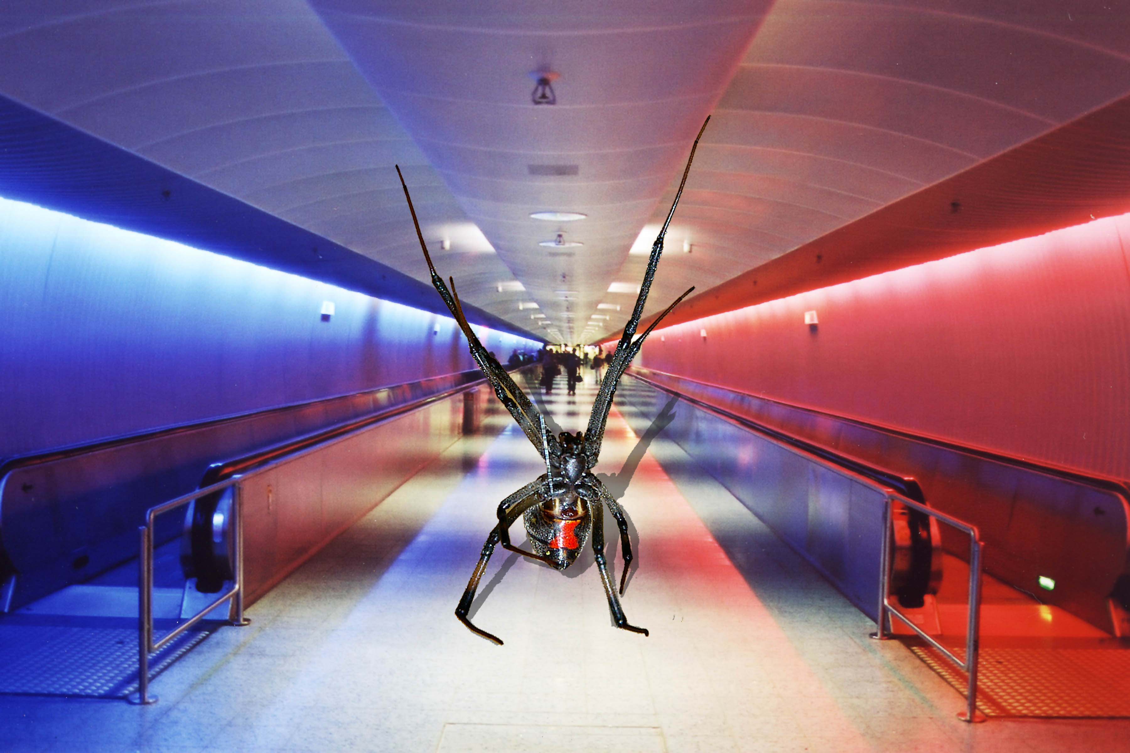 Photoshop Design by divernick for DesignCrowd (Community Contests) | Design #9108812