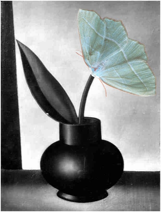 Photoshop Design by teena911 for DesignCrowd (Community Contests) | Design #9108789