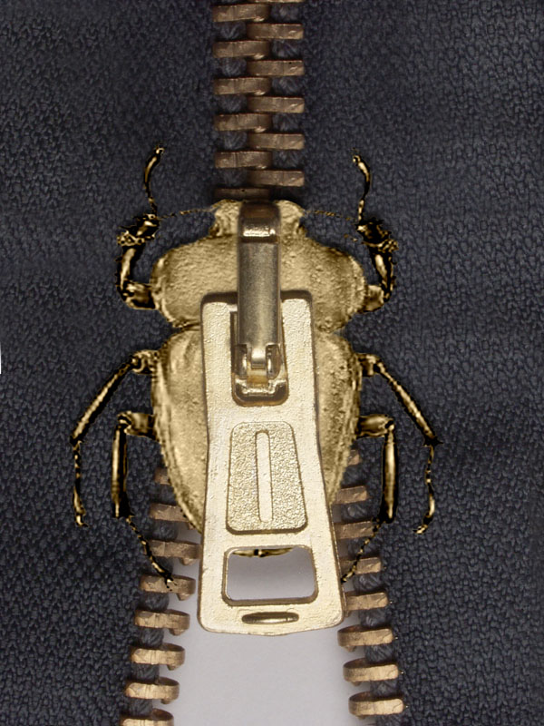 Photoshop Design by godzillatemple for DesignCrowd (Community Contests) | Design #9108848