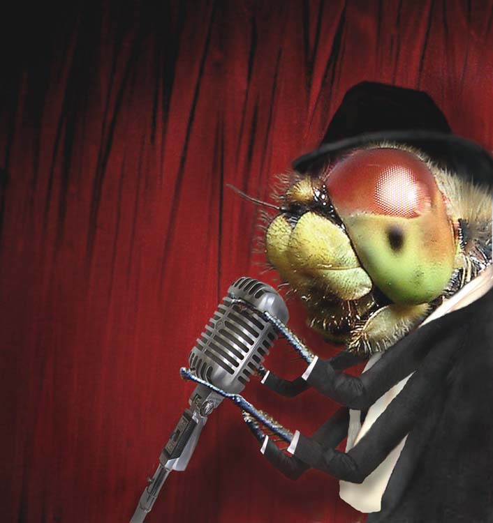 Diseño de Photoshop por cristielayne para DesignCrowd (Community Contests) | Diseño #9108890