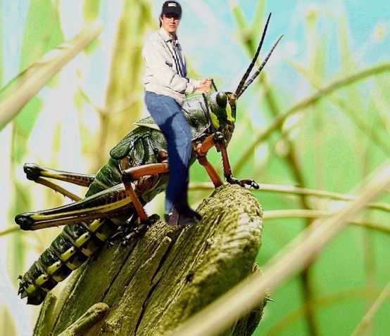 Photoshop Design by Sirtoddalot for DesignCrowd (Community Contests) | Design #9108887