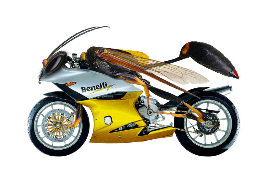 Design Photoshop par UNSUB1 pour DesignCrowd (Community Contests) | Design #9108859