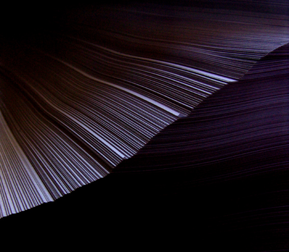 Photographie par Dziedzic pour DesignCrowd (Community Contests) | Design #9113804