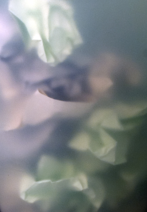 Photography by digiteyes for DesignCrowd (Community Contests) | Design #9113767