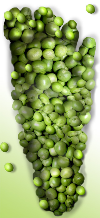 Diseño de Photoshop por Terrence para DesignCrowd (Community Contests) | Diseño #9109437